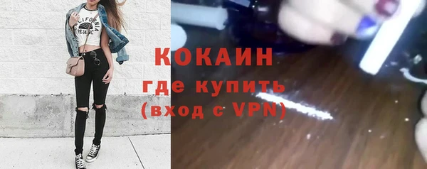 сатива Балахна