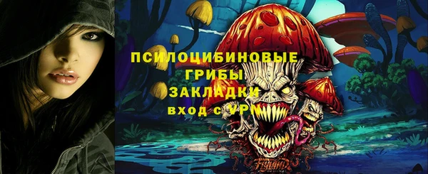 соль ск Балабаново