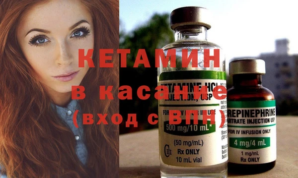 сатива Балахна