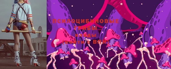 сатива Балахна