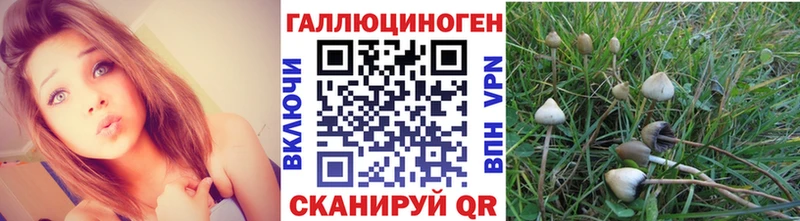Галлюциногенные грибы MAGIC MUSHROOMS  Соликамск 